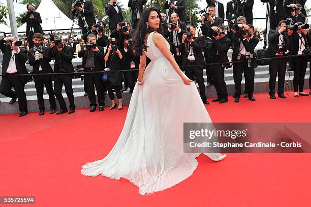 Mallika Sherawat attend the 'Jimmy's Hall' premiere during the 67th Cannes Film Festival