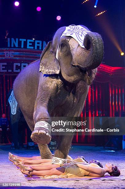 Artists with elephants perform during the opening ceremony of the 39th International Circus Festival of Monte-Carlo on January 15, 2015 in Monaco.