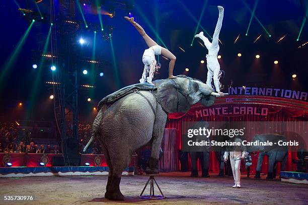 Casselly Family with their Elephants perform during the 40th International Circus Festival on January 17, 2016 in Monaco.