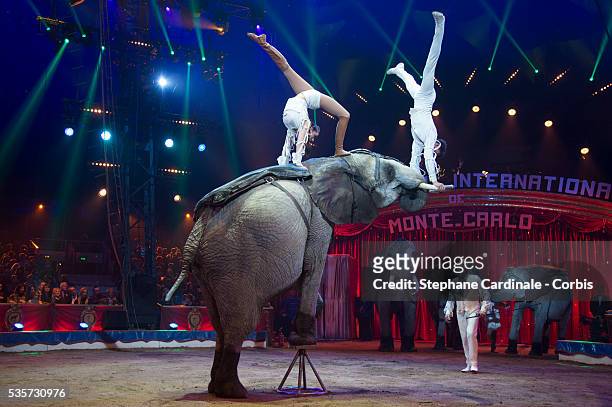 Casselly Family with their Elephants perform during the 40th International Circus Festival on January 17, 2016 in Monaco.