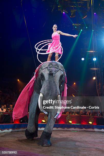 Casselly Family with their Elephants perform during the 40th International Circus Festival on January 17, 2016 in Monaco.