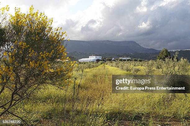 Duke of Wellington Arthur Charles Valerian Wellesley's country estate on May 28, 2016 in Granada, Spain.