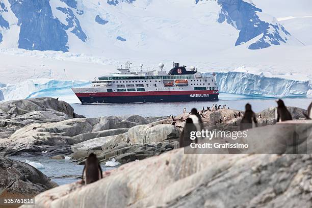 antarctic peninsula cruise ship hurtigruten - hurtigruten stock pictures, royalty-free photos & images