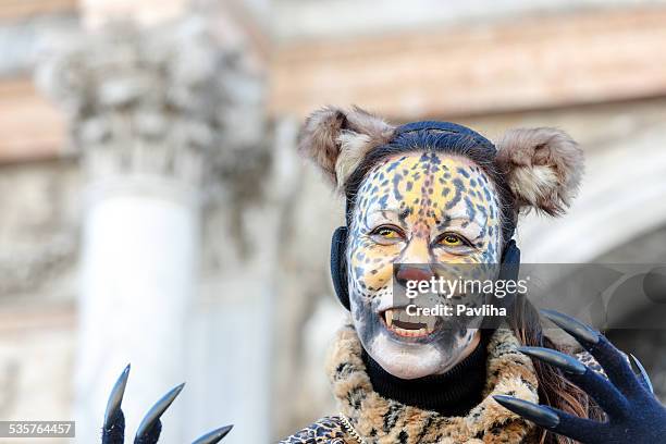 猫のカーニバルマスク 2013 年イタリア、ベニスのサンマルコ - camouflaged cat ストックフォトと画像