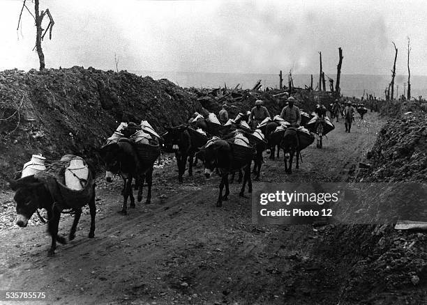 Donkeys bringing food to soldiers in trenches, October 17 France, World War I, Musée de Vincennes, .