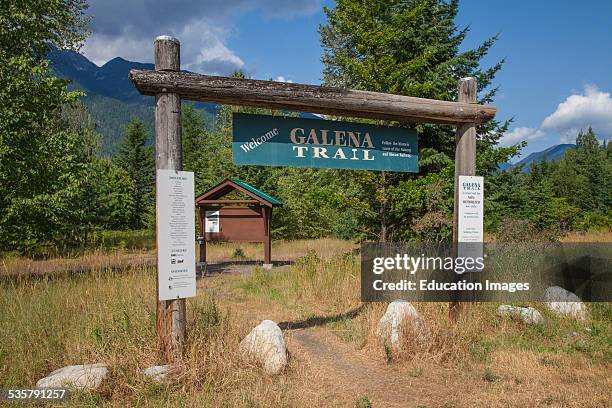 Galena Trail along Slocan Lake, Rosebery, New Denver, Slocan Valley, West Kootenay, British Columbia, Canada.