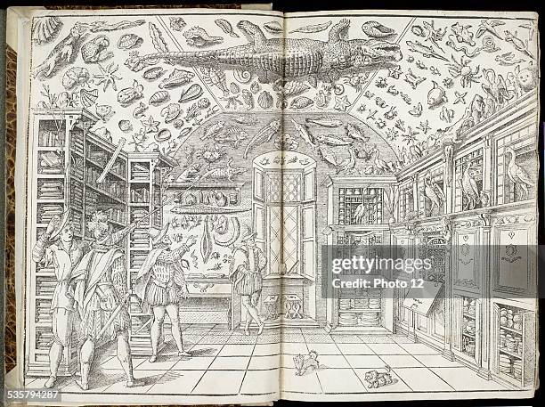 Ferrante Imperato, Italian school, Ferrante Imperato and his son Francesco showing their cabinet of curiosities to visitors, Engraving in double page...