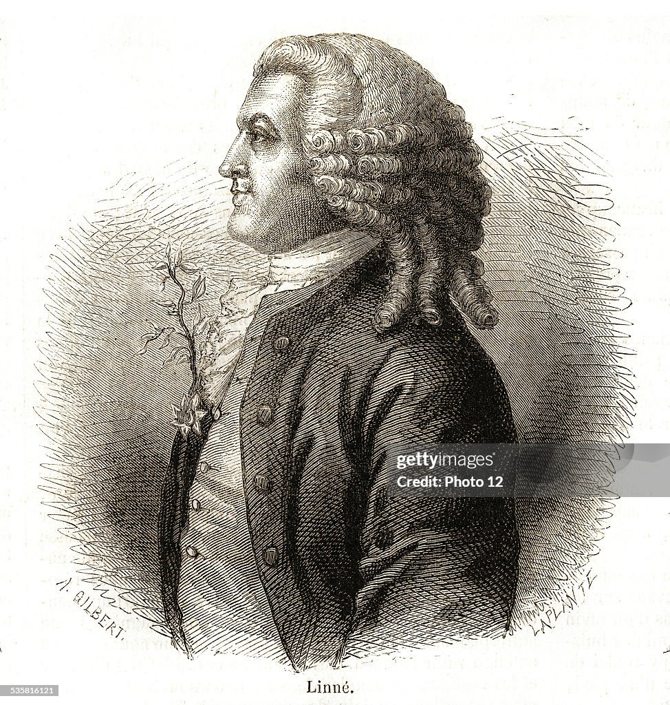 Carl Line 1864. Carl Linnaeus who took the name Carl von Linné after his... News ...