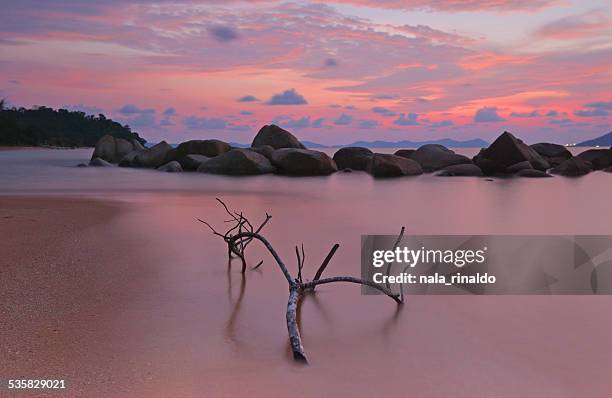 indonesia, singkawang, kura kura beach at sunset - kalimantan stock-fotos und bilder