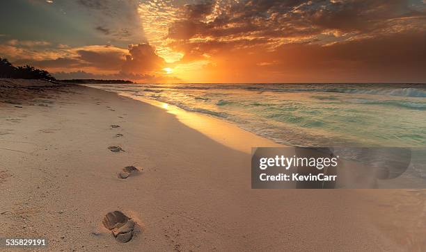 mexico, riviera maya, akumal beach, view along coastline with footprints in sand at sunrise - footprints stock pictures, royalty-free photos & images