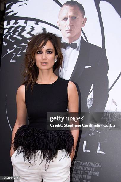 Berenice Marlohe poses during the photocall for the movie Skyfall at Hotel George V, in Paris