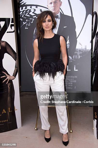 Berenice Marlohe poses during the photocall for the movie Skyfall at Hotel George V, in Paris