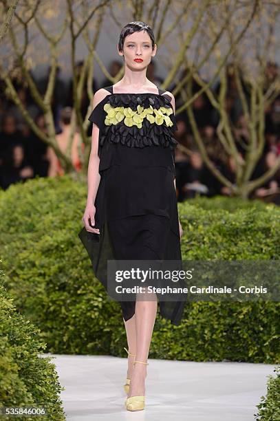 Model walks the runway during the Christian Dior Spring/Summer 2013 Haute-Couture show as part of Paris Fashion Week, in Paris.