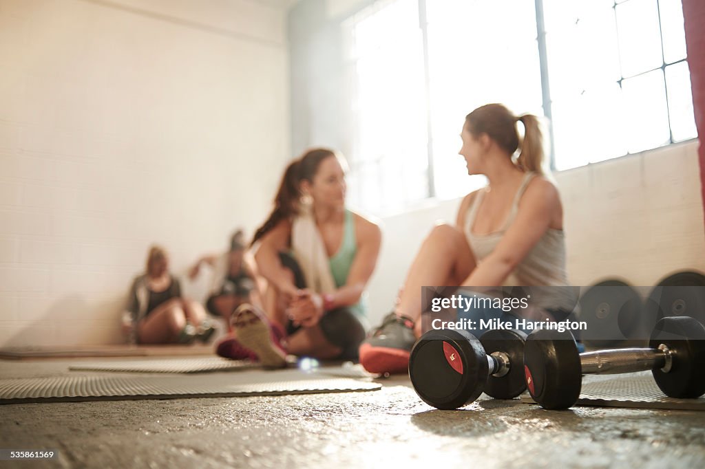 Group of healthy females chatting in gym