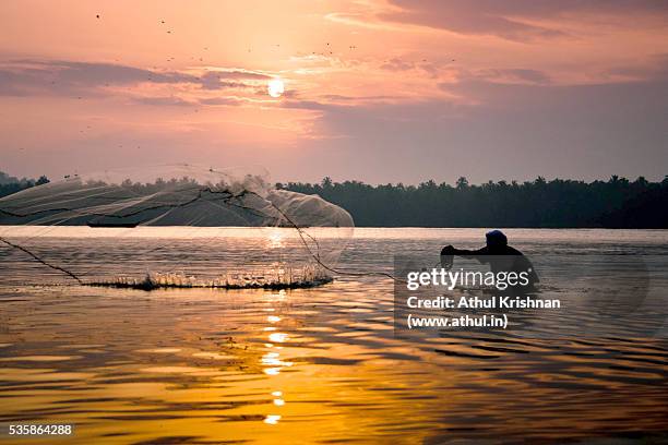 fisherman casting his net at sunrise - kerala beach stockfoto's en -beelden