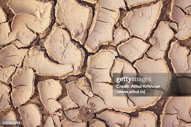 drought-ridden land - dead stock photos et images de collection