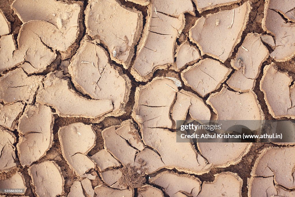 Droughtridden Land High Res Stock Photo Getty Images Droughtridden Land High Res Stock Photo Getty Images