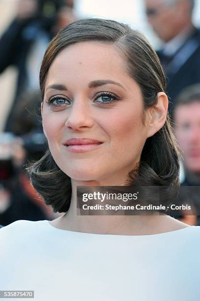 Marion Cotillard attends the 'The Immigrant' premiere during the 66th Cannes International Film Festival.