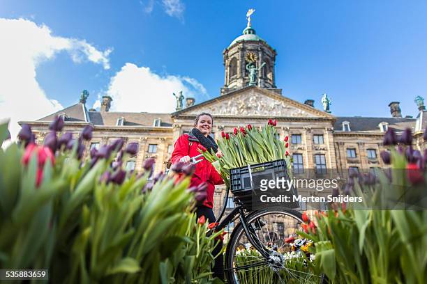 girl with bicycle in tulip field - dambasket stockfoto's en -beelden