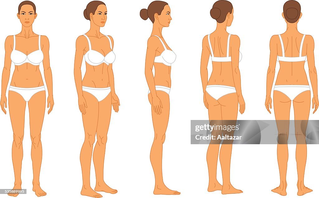 Feminino anatomia do Corpo Humano