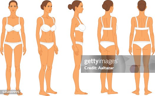 https://media.gettyimages.com/id/535889995/vector/anatomy-female-human-body.jpg?s=170667a&w=gi&k=20&c=V3ewu3yr7H0wemaaLLO79OHPPrbDqbYAj_vFLiT-ljk=