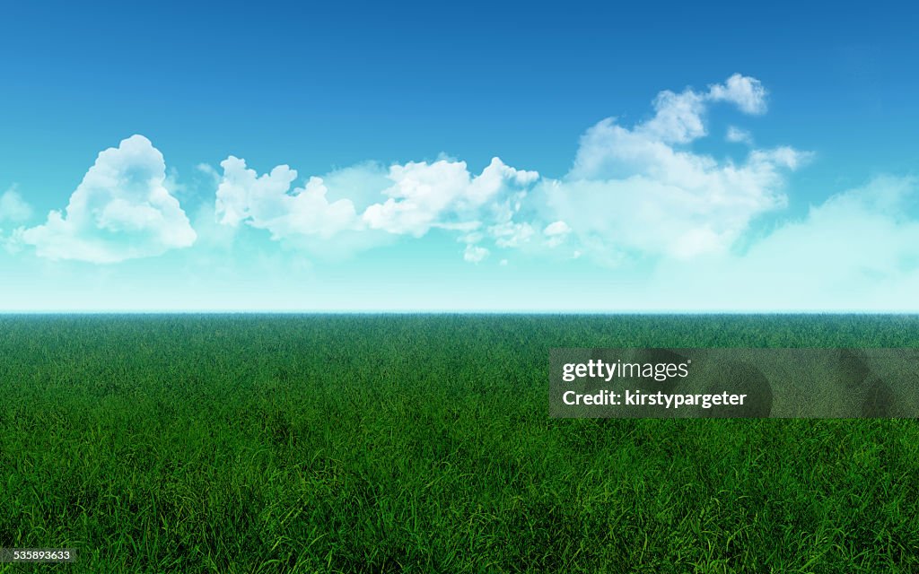 Grassy champ de