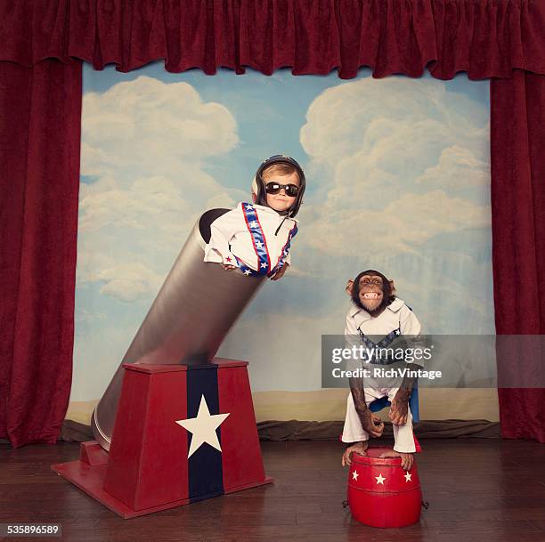 daredevil child and chimpanzee team with cannon - chimpanzee stock pictures, royalty-free photos & images