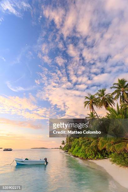 sunrise over tropical beach with palms, maldives - maldives boat stock pictures, royalty-free photos & images