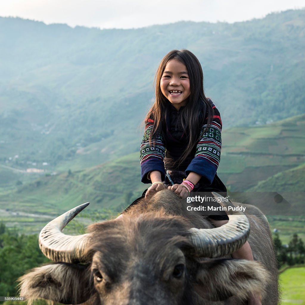 Vietnam, young girl sitting on water buffalo