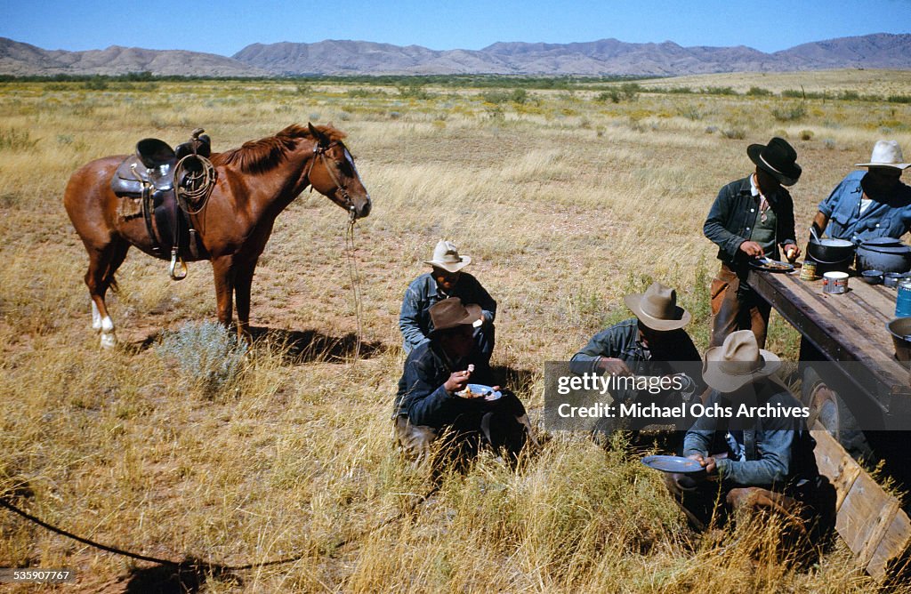 Cattle Ranching in Montana