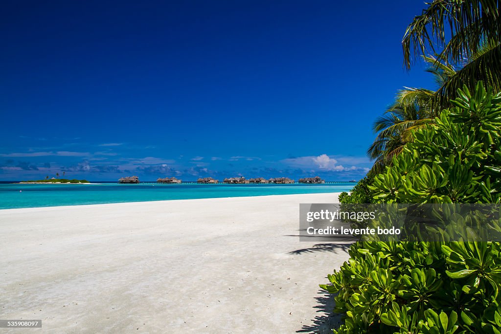 Stunning tropical beach in Maldives