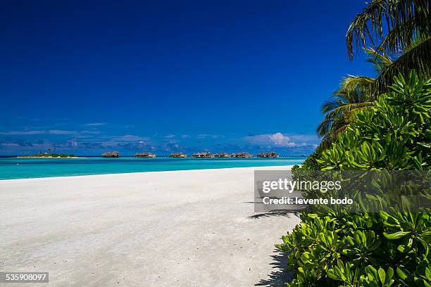 stunning tropical beach in maldives - laguna beach maldives stock pictures, royalty-free photos & images