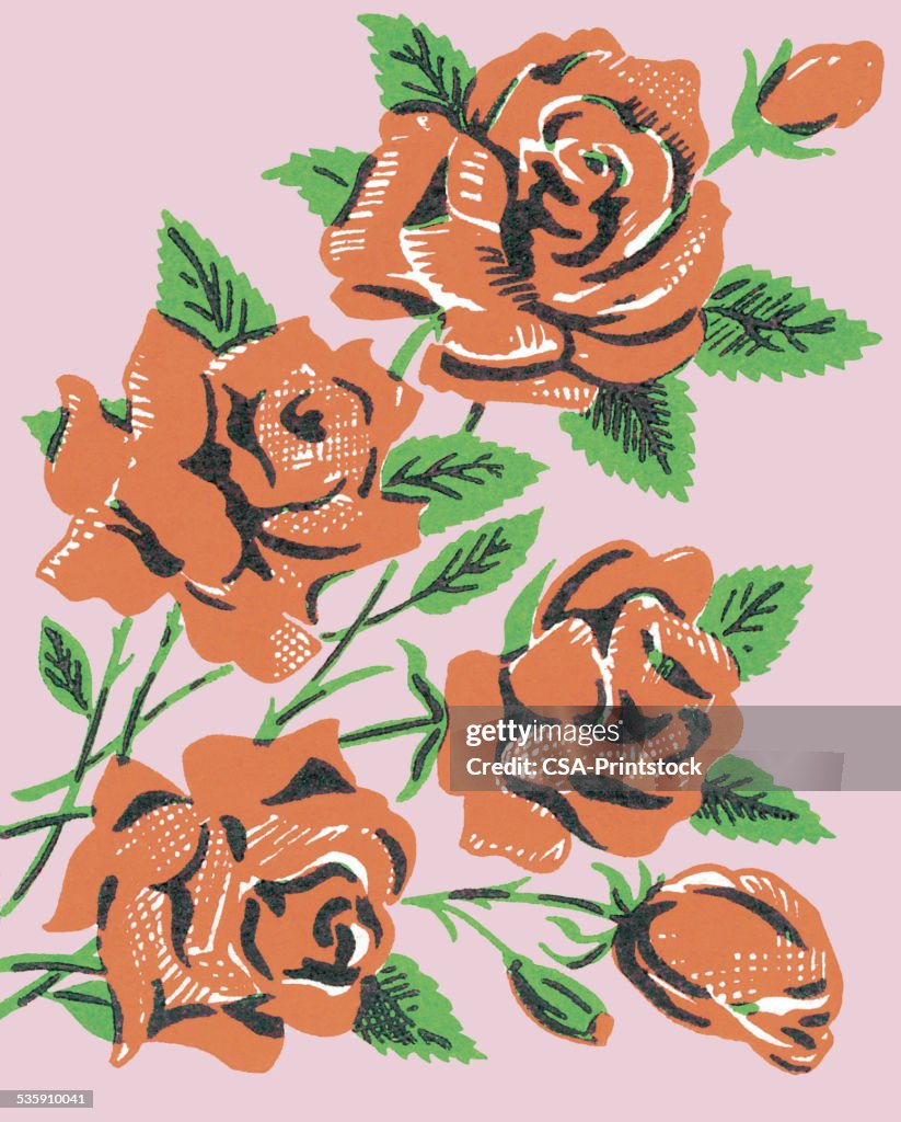 Red rosas