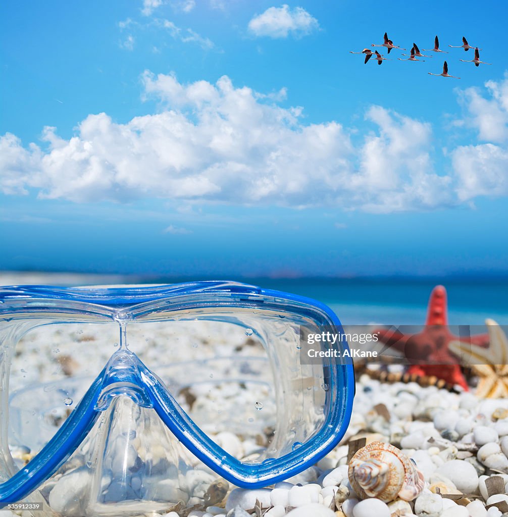 Diving mask and starfish under a flock of flamingos