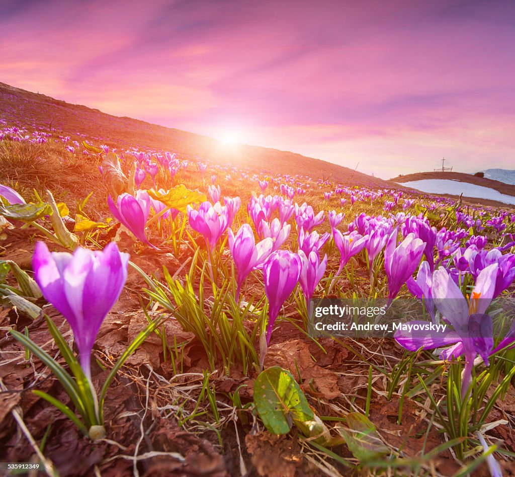 Colorful sunrise in the spring mountains