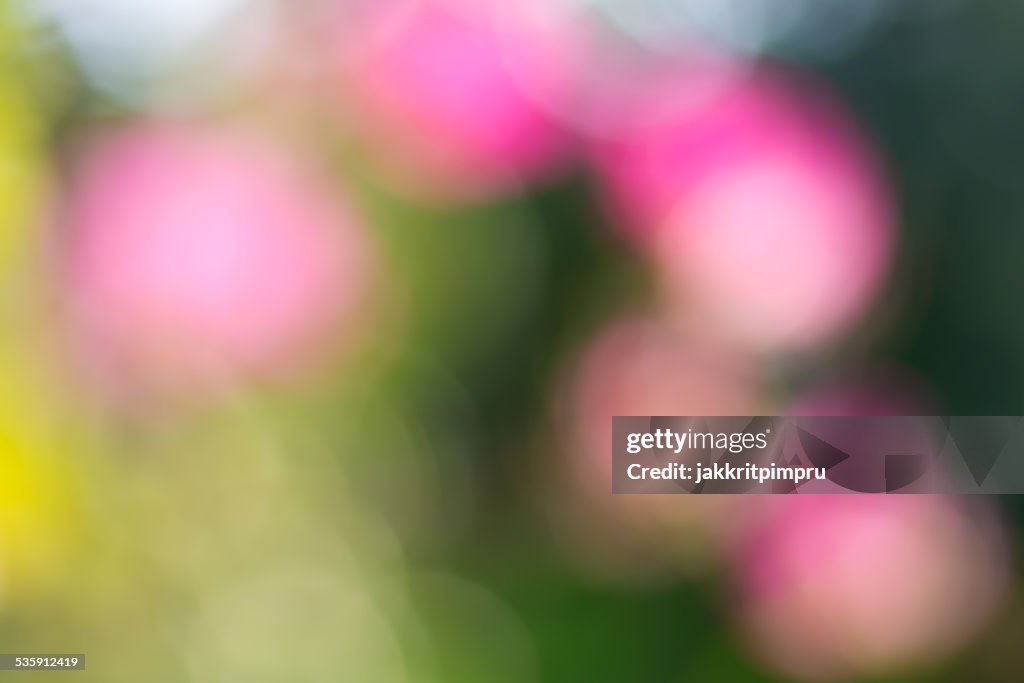 Natural green and pink bokeh background