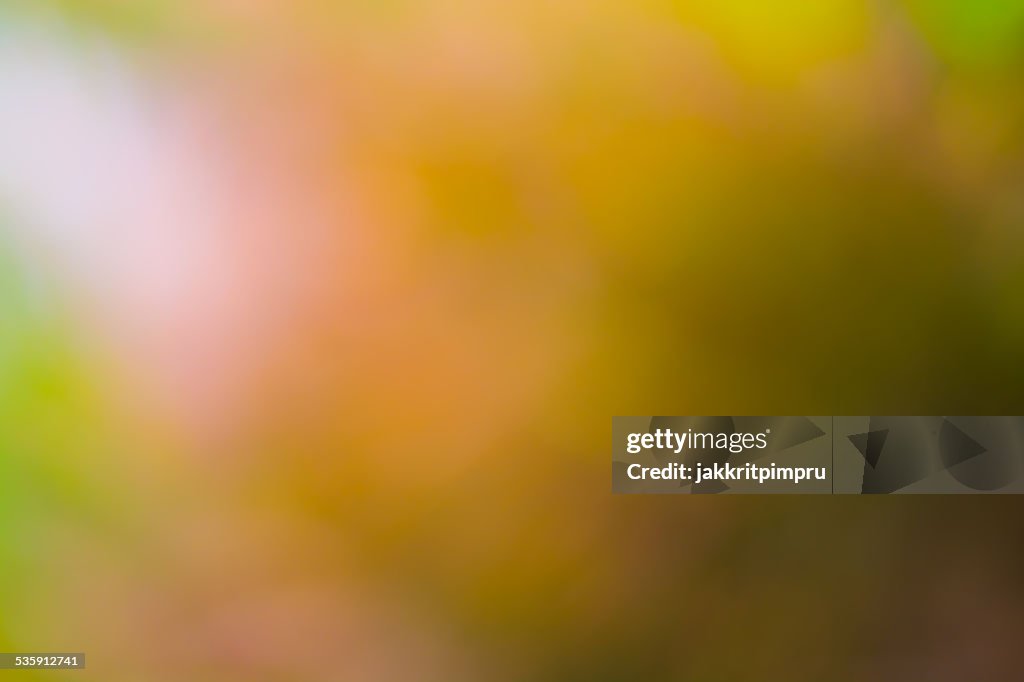 Natural yellow gold bokeh background