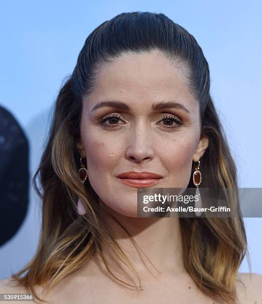 Actress Rose Byrne arrives at the premiere of Universal Pictures' 'Neighbors 2: Sorority Rising' on May 16, 2016 in Westwood, California.