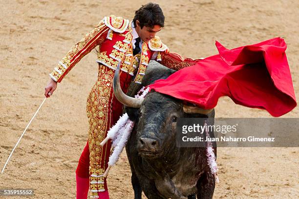 French matador Sebastian Castella performs during the San Isidro bullfight festival at Las Ventas bullring on May 30, 2016 in Madrid, Spain.