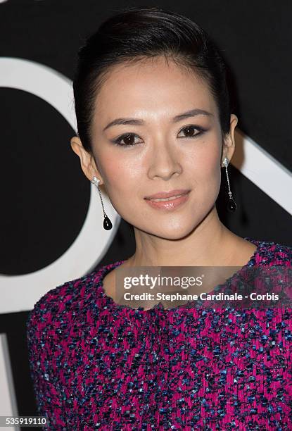 Zhang Ziyi attends the Giorgio Armani Prive show as part of Paris Fashion Week Haute Couture Spring/Summer 2014, at Palais de tokyo in Paris.