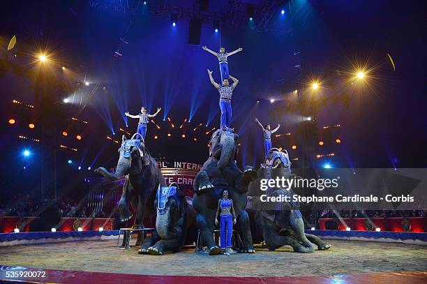 Elephants perform during the 38th International Circus Festival on January 21, 2014 in Monte-Carlo, Monaco.