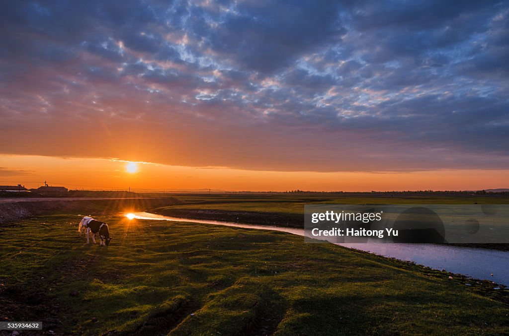 Sunrise over winding river in grassland, northern China