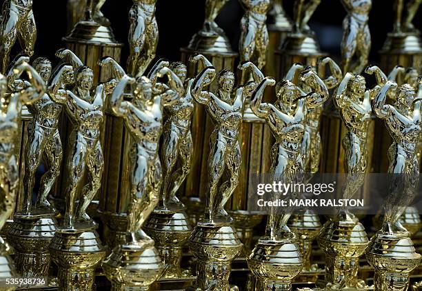 Winners' trophies from the Memorial Day Muscle Beach bodybuilding competition at Venice Beach, California on May 30, 2016. Venice is one of two...