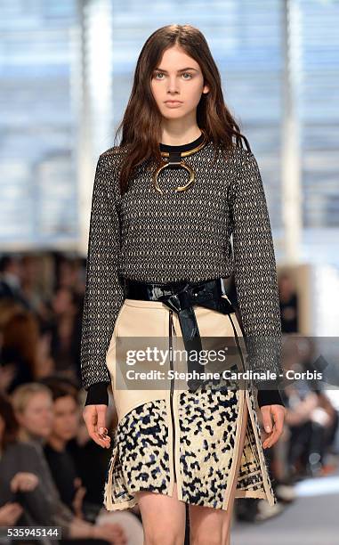 Model walks the runway during the Louis Vuitton show, as part of the Paris Fashion Week Womenswear Fall/Winter 2014-2015, in Paris.