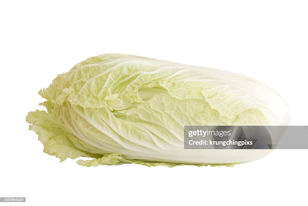 Chinese cabbage