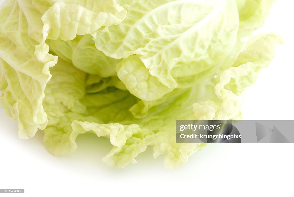 Chinese cabbage