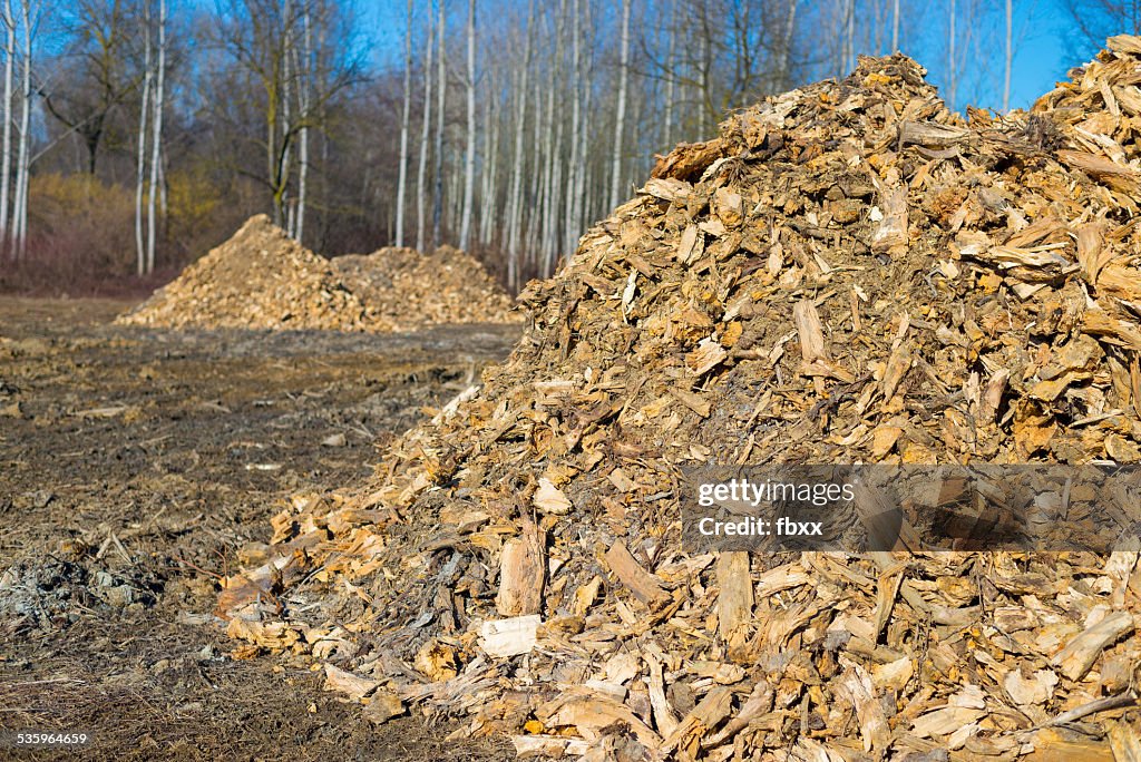 バイオマス(木材産業 discards から