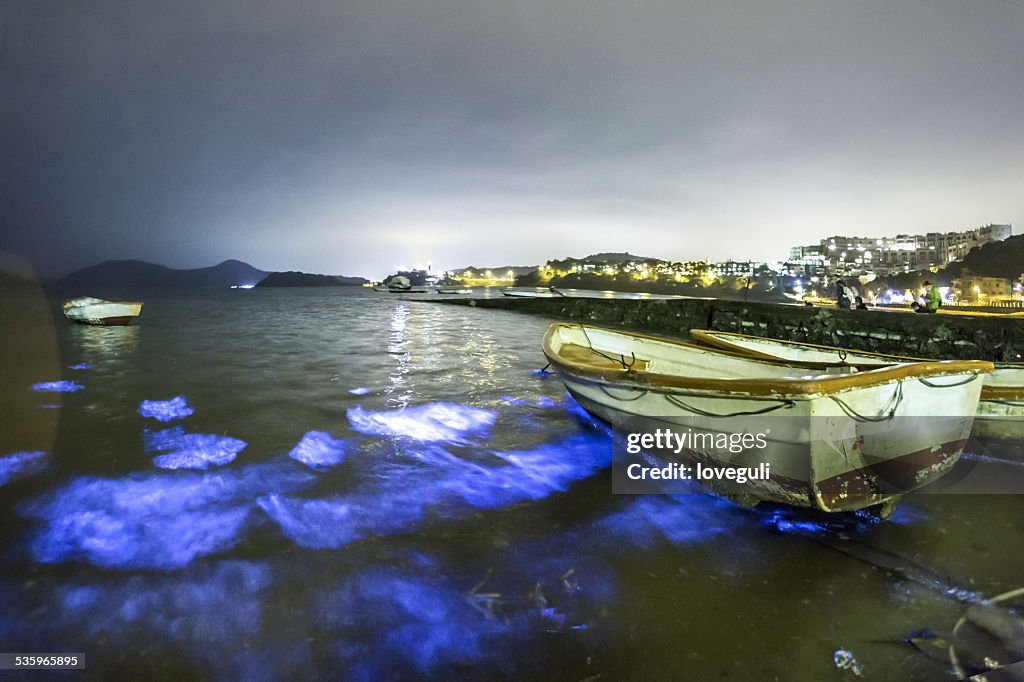 Fluorescent seashore and landscape  night view in Hongkong