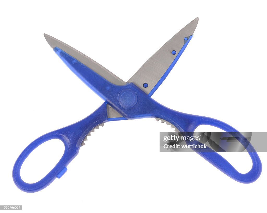 Blue kitchen scissors