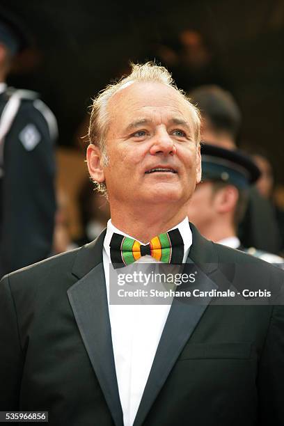 Actor Bill Murray at the premiere of "Broken Dreams" during the 58th Cannes Film Festival.